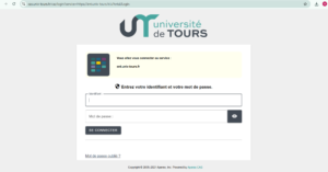 ent tours