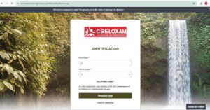 comité d'entreprise loxam
